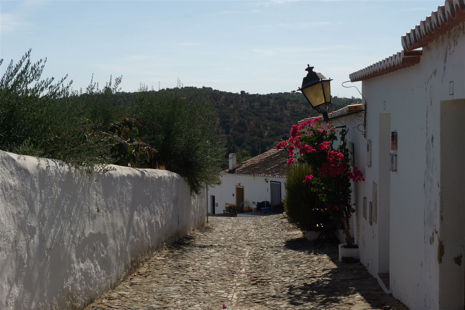 Whitewashed street in Mértola, with bougainvillea